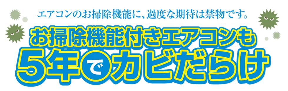 5年でかびだらけ