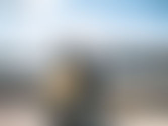 How to Plan the Perfect NYC Skyline Proposal: Aaron & Cynthia’s Waterfront Moment