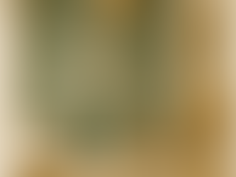 andalusian massage relax