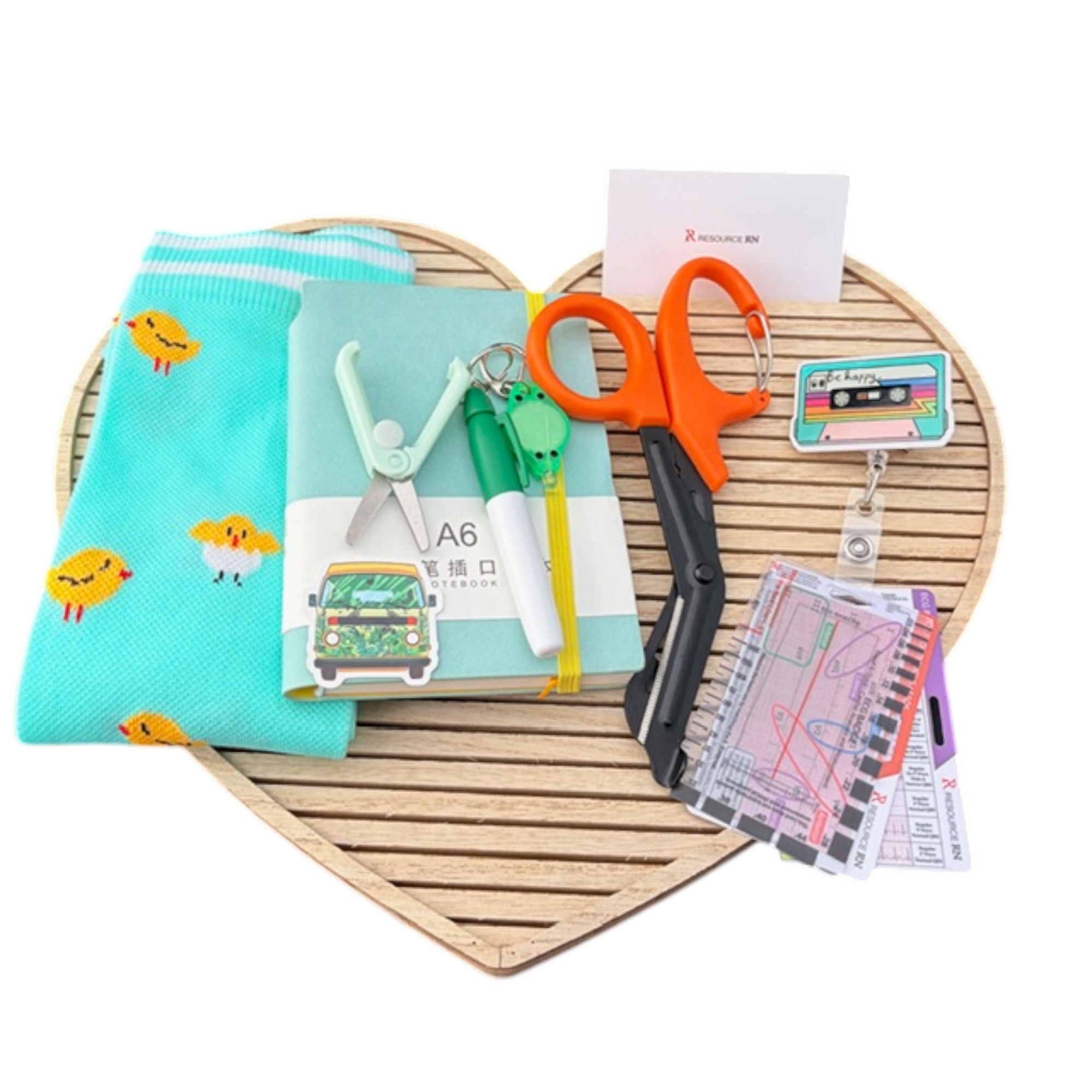 Teal Healthcare Hero Gift Box | Nurse Gift Set | Trauma Shears, EKG Badge Buddy