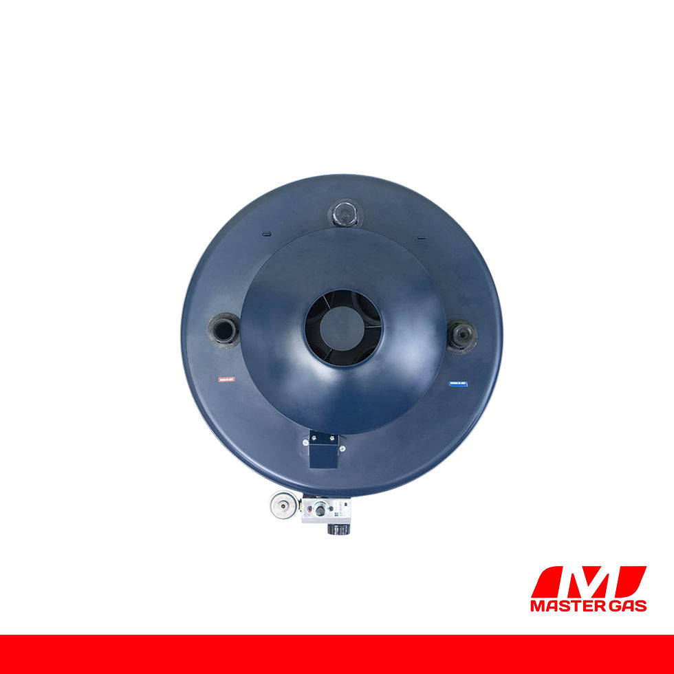 Miniatura: Termotanque  ACQUAPIU HYBRID4 H-700