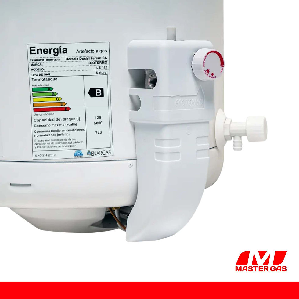 Miniatura: Termotanque a Gas LE 120 Ecotermo