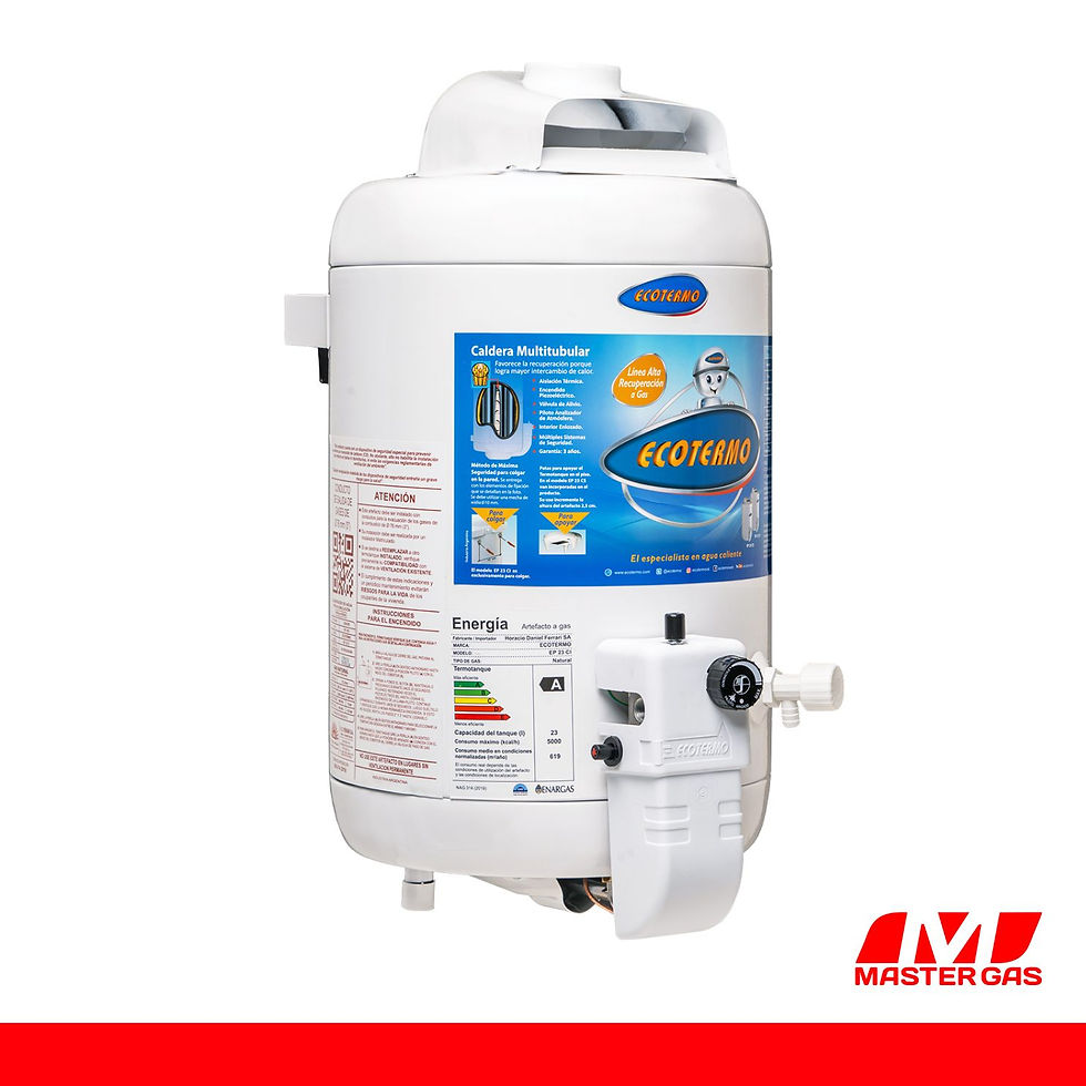 Miniatura: Termotanque a Gas EP 23 C/SUP Ecotermo