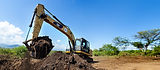 1Y9A2563 Digger 01b.jpg