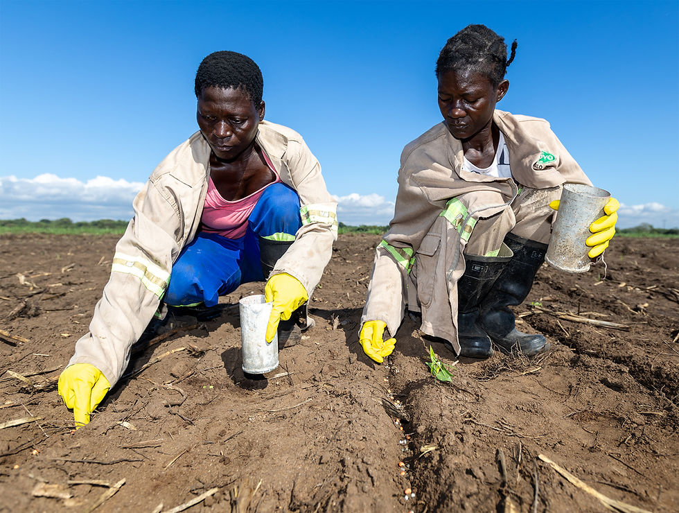 1Y9A4797 seed testing plantingcrop.jpg
