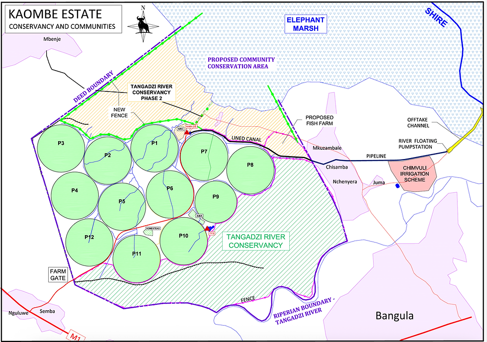 Kaombe Estate
