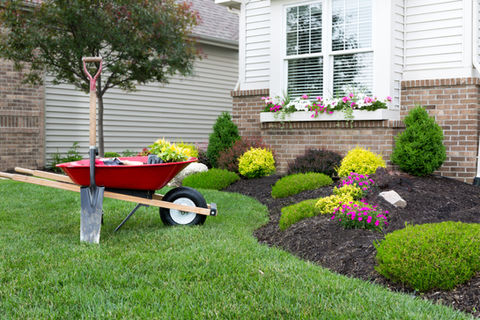 Front Yard Landscape Redesign with Vibrant Shrubbery and Window Box Accents