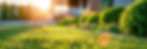 AdobeStock_753933884.jpeg