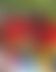 Top 10 Reasons Why Malaysia Needs Team Building