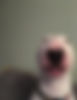 1_rIkmavUeqyRySwlQdA9kKg.jpg