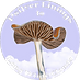Psilver Linings NZ Psilocybe Logo