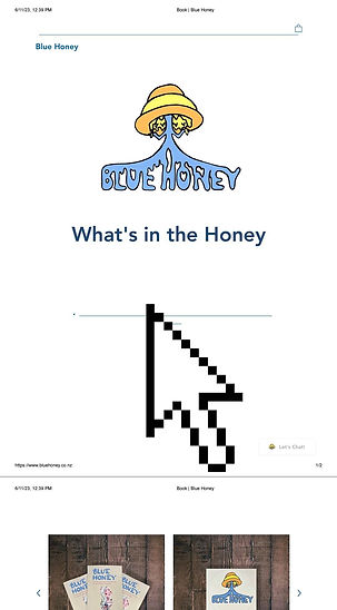 Screenshot of the Blue Honey Website 