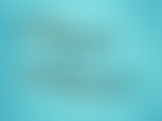 Amazon Seller o Amazon Vendor: quali sono le differenze