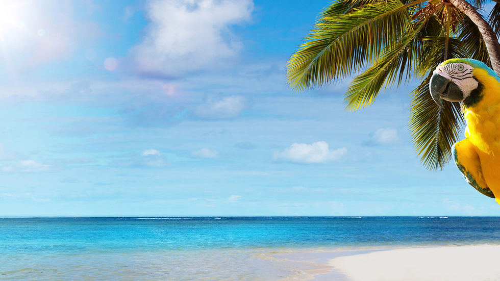 tropical8.jpeg