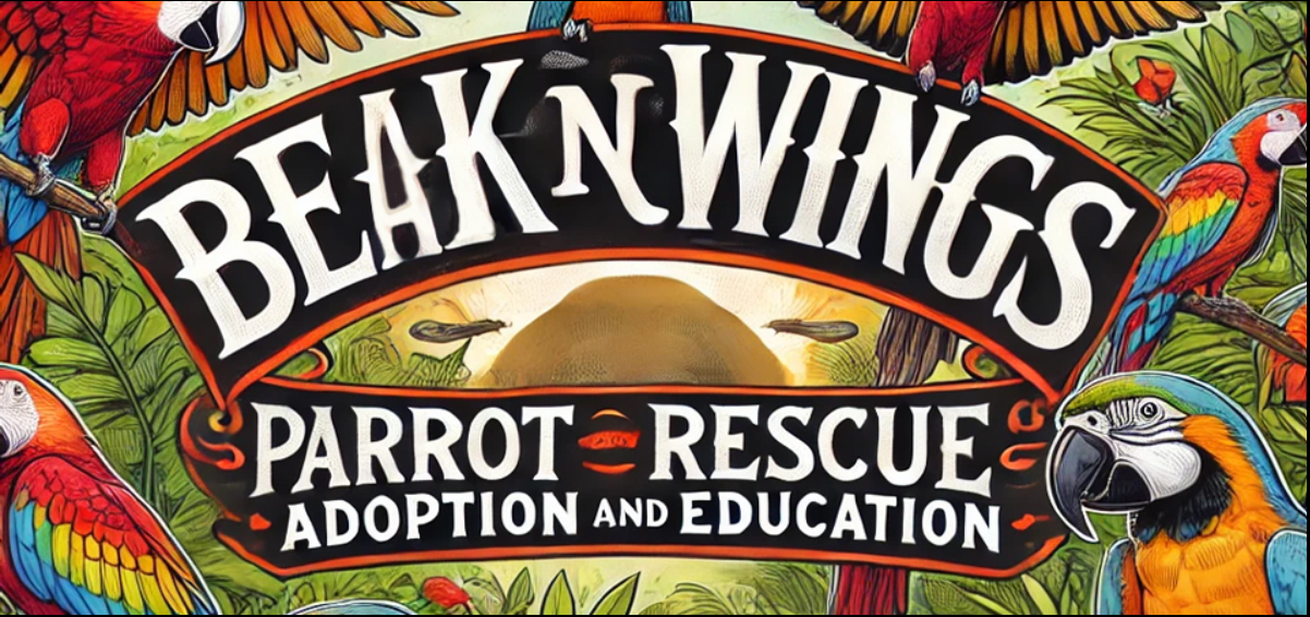 Beak n Wings logo
