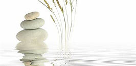 image zen galet et roseau.jfif