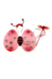 UĞUR BÖCEĞİ KANAT SETİ