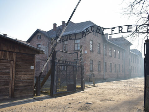 🕯️ Auschwitz — Understanding the System, Human Behaviour, and the Lessons History Teaches Us - By Sensei Liam Musiak
