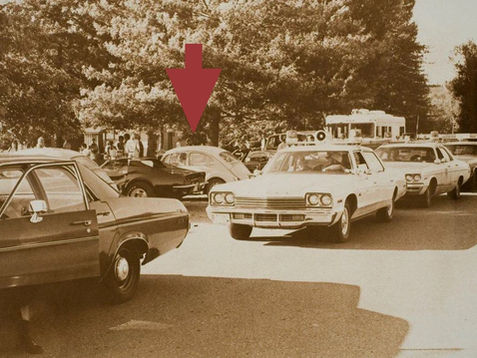 If This Is Ted Bundy… That’s the Scariest Part - By Sensei Liam Musiak