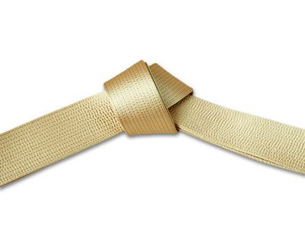 Why Gold Was Chosen as a Colour in Jissenkō Ryū Karate - By Sensei Liam Musiak