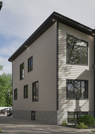 Triplex Development