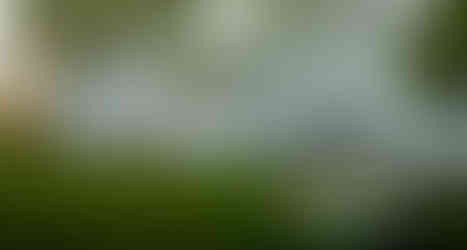 Riverside Inn Bed and Breakfast