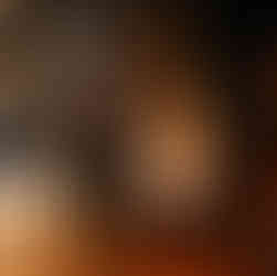 michigan wedding venue 