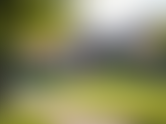 Maximizing Rent Collection in Adult Care Properties