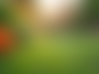 Streamlining Property Management for Care Providers