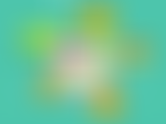 Formas de pagamento Shopify: 5 opções de gateways | Líderes