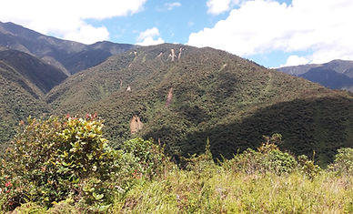20160813_130748.jpg