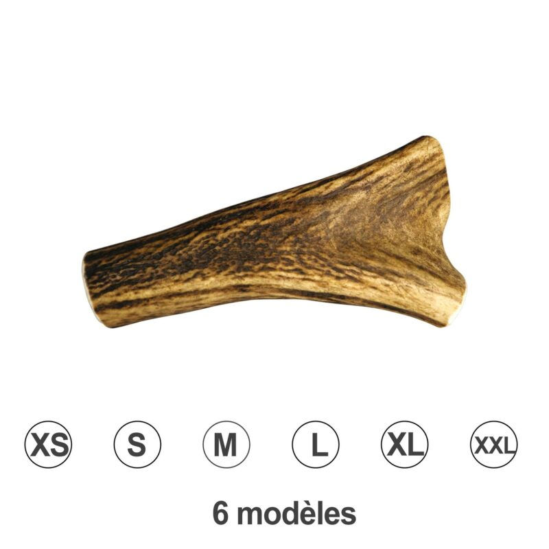 Bois de cerf entier naturel Doogy