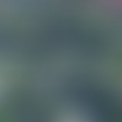 Top Five Phoenix Neighborhoods