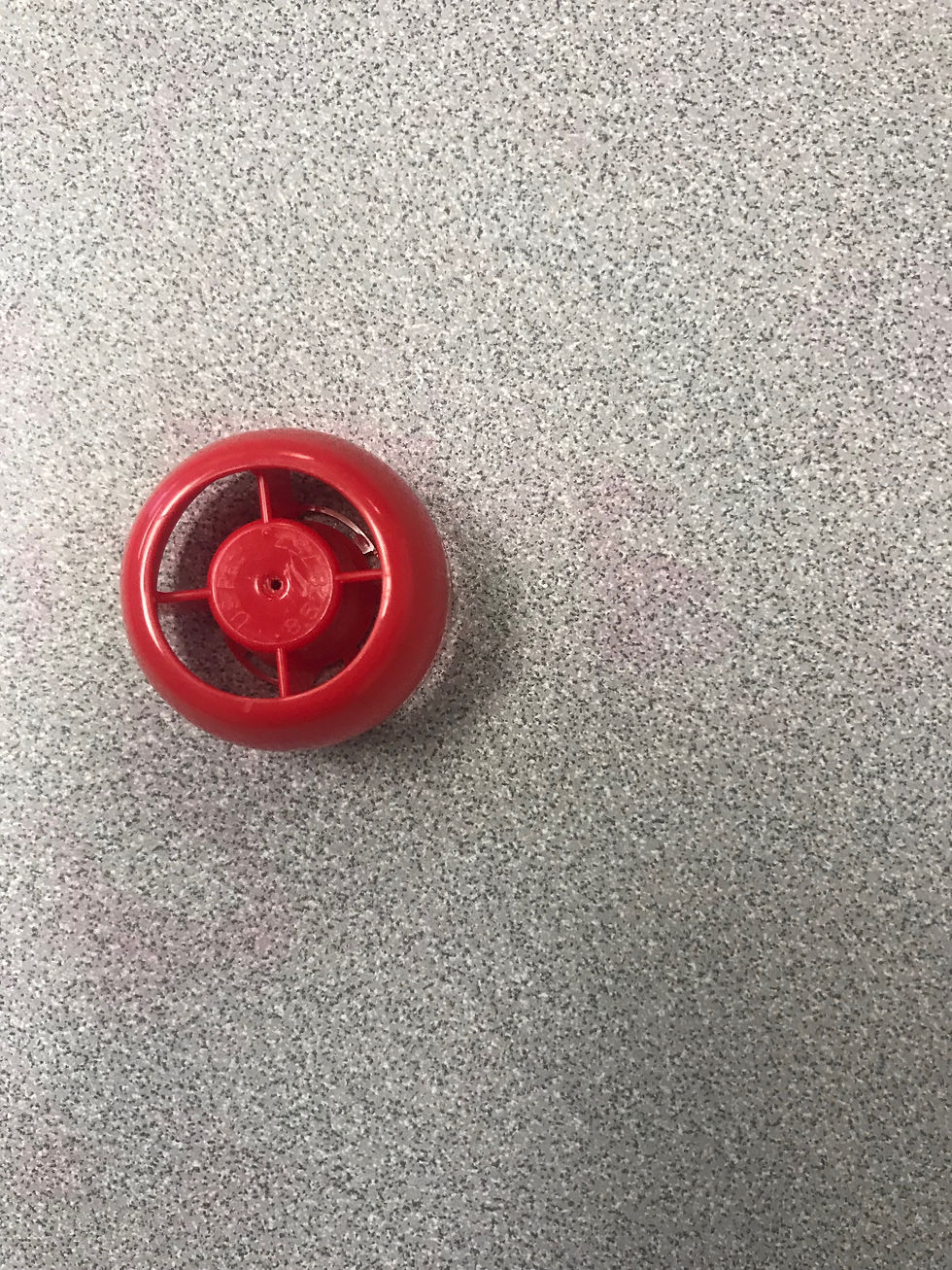ree