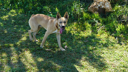 DSC03590.JPG