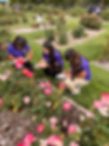 IMG_6089.jpeg