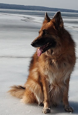 IMG_20240303_145704614~2