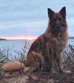 IMG_20220521_210406830_HDR~3