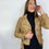 Thumbnail: JAS SHELLY