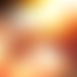 Urgent Action Needed to Prevent Hot Car Deaths: An Open Letter to the Secretary of Transportation