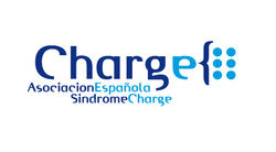 LOGO CHARGE