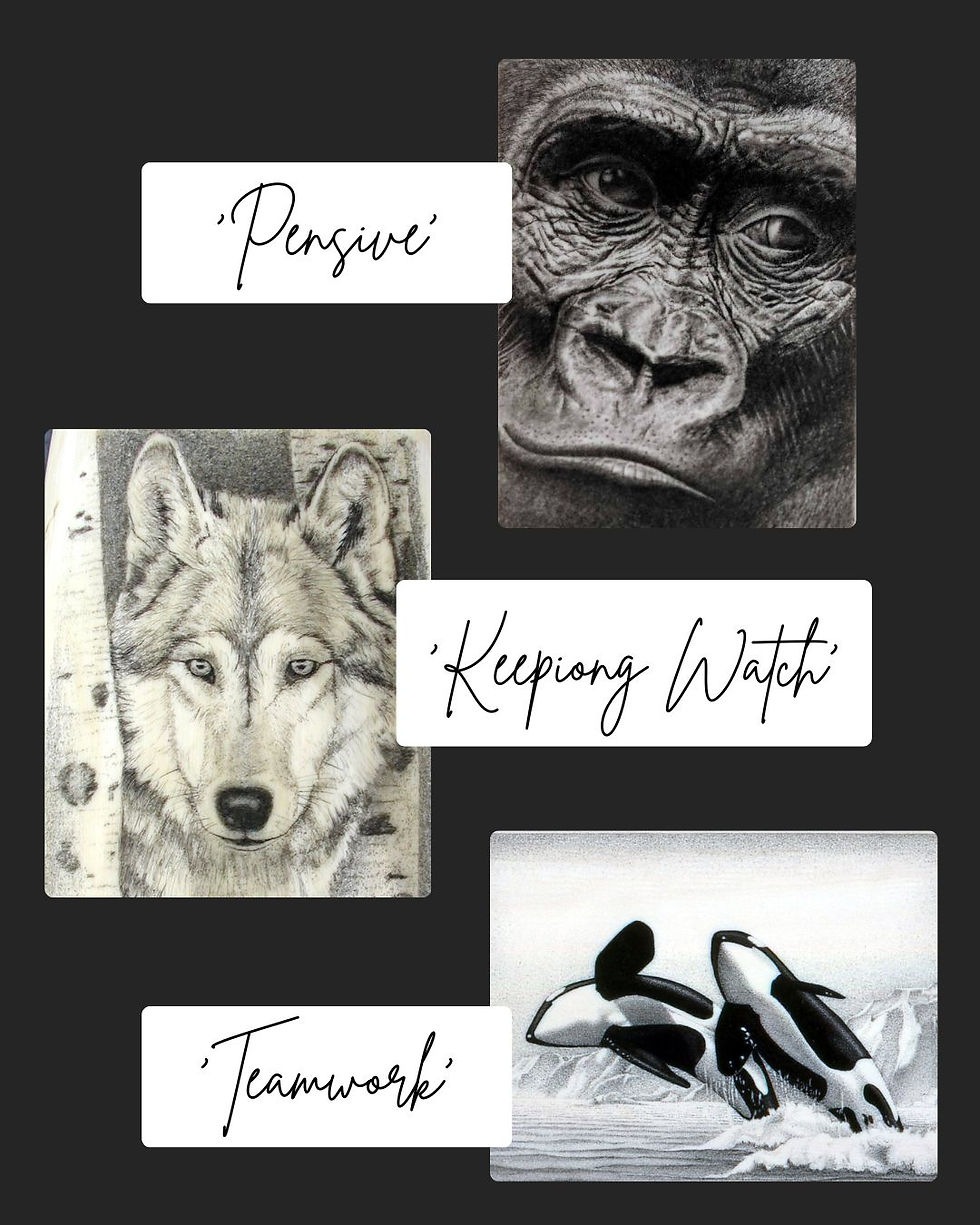 Thumbnail: 'Create Your Own' Collection