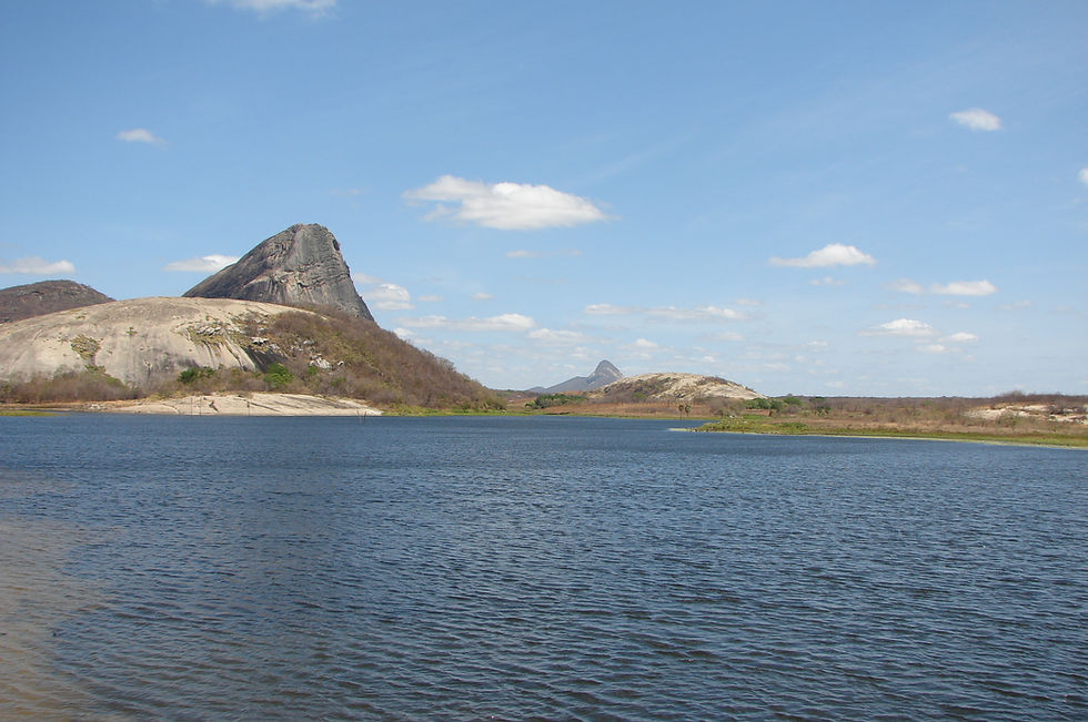 DSC01037.JPG