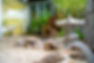 af92aa_533e2f23e1b44bfc8c7094f5248f62d3~mv2_d_2048_1370_s_2.jpg