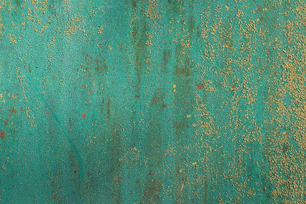 majid-gheidarlou-dViaab0Qc8o-unsplash.jpg