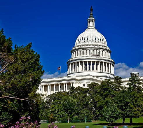 washington-dc-1607774_1920_edited.jpg