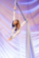 Aerials.JPG