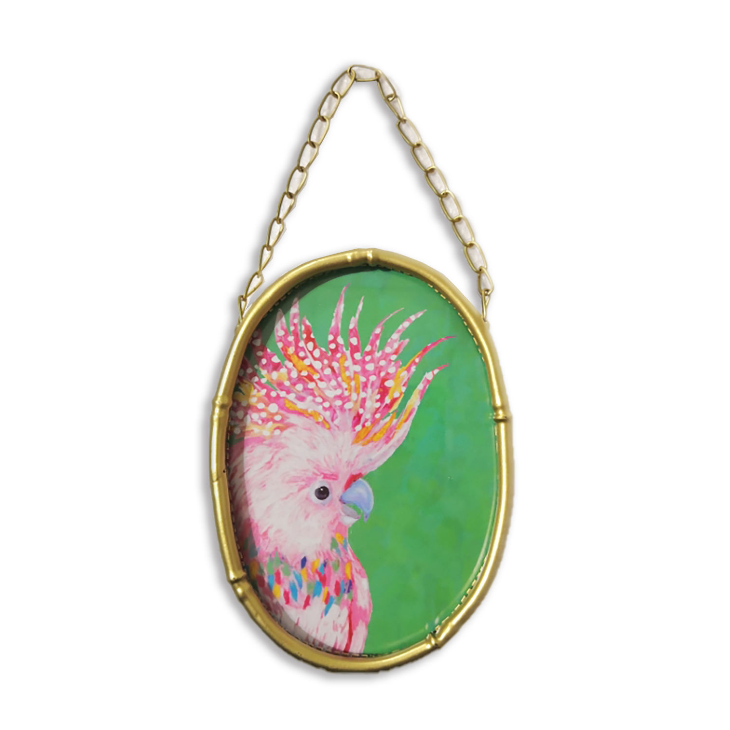 Gold Parrot - 6118-AA