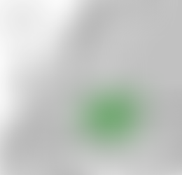 Genealogy Just Ask Blog Spotlight: Valerie Mauk