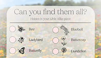 Wildflowers guide (4)_edited.jpg
